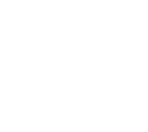logo-valentia-shape